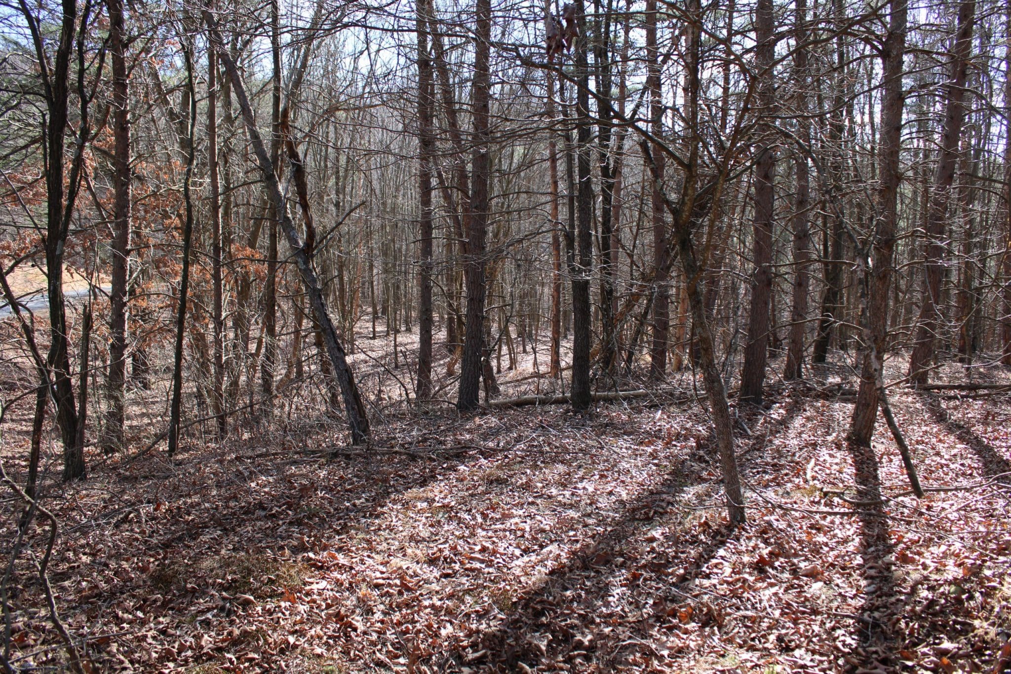 Lot 317 Winterberry Dr Moorefield WV 268365