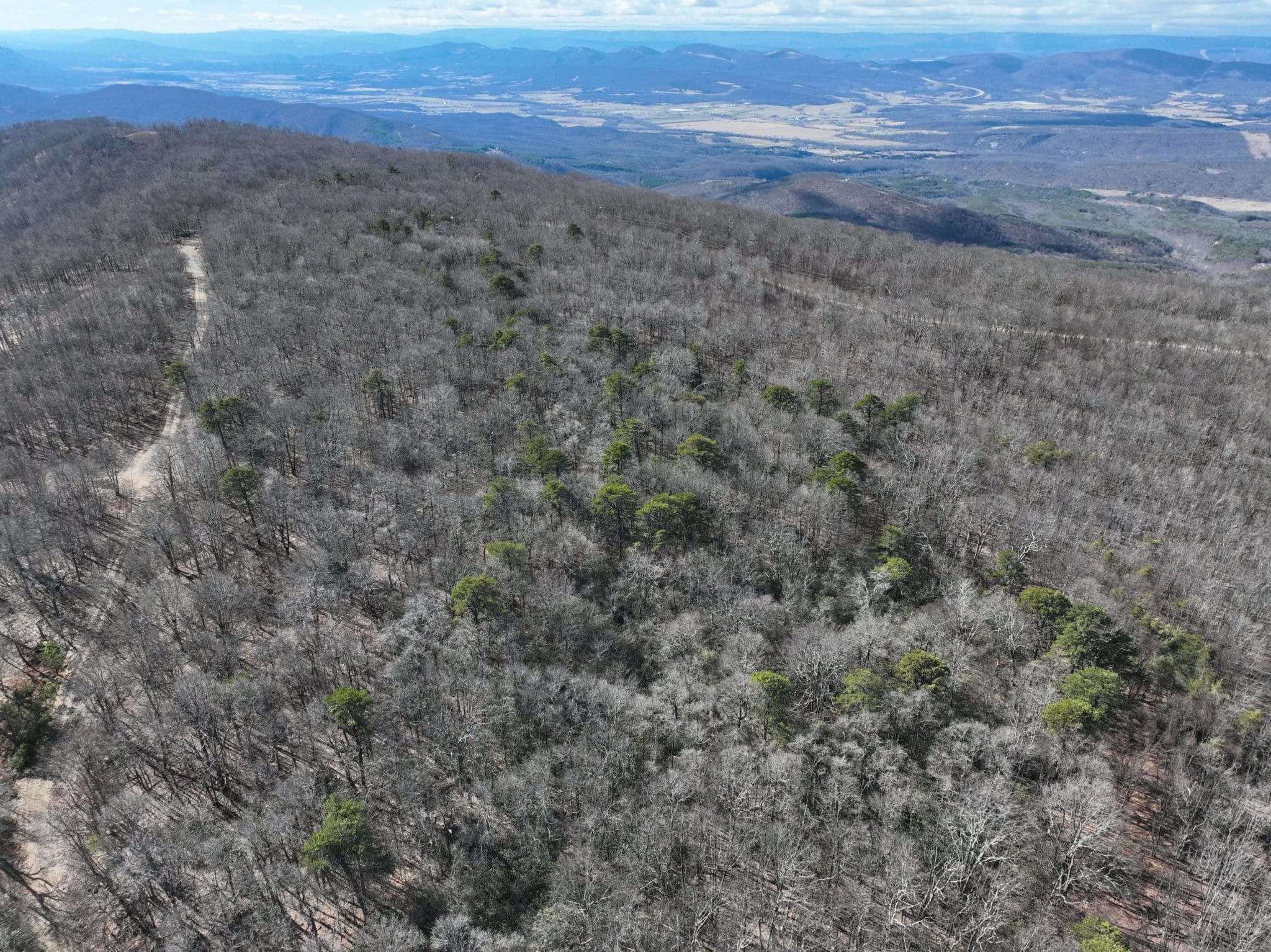 21.53 AC S. Branch Mountain Rd Moorefield WV 26836