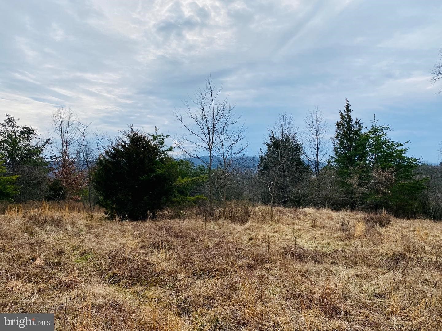 Lot 13 Quiveys Grove Trl Romney WV 26757