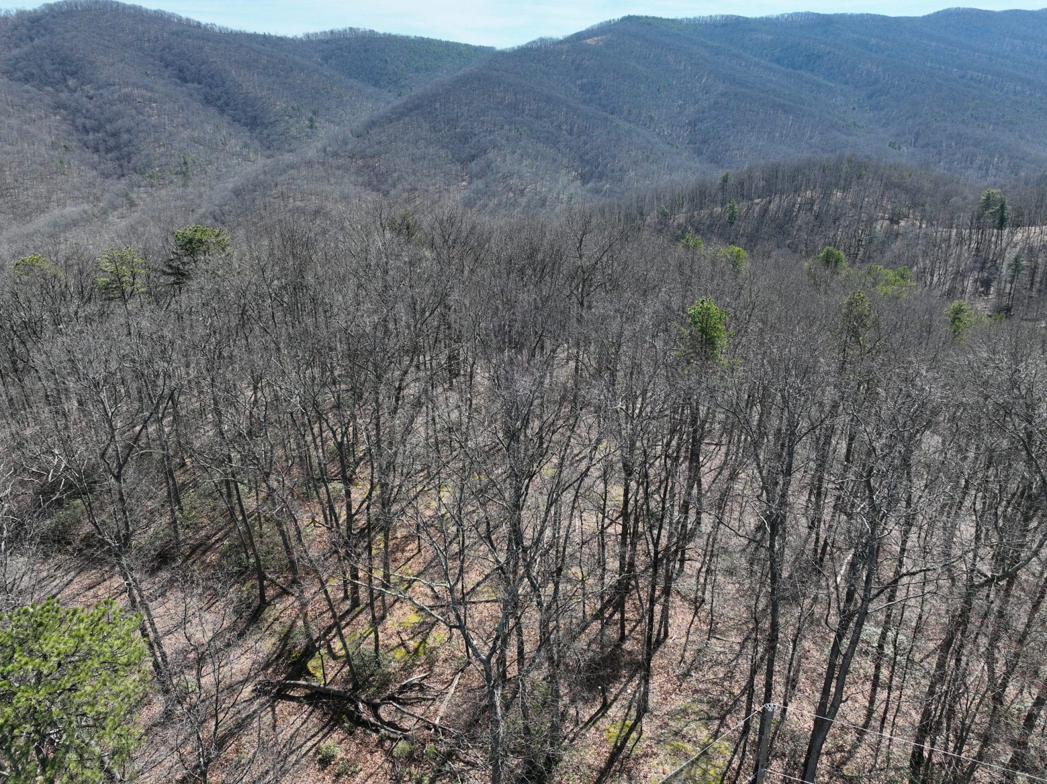 Lot 10 Boulder Drive, Mathias, WV