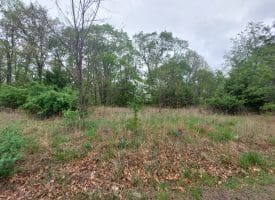 Affordable Mountain Land – Delray, WV
