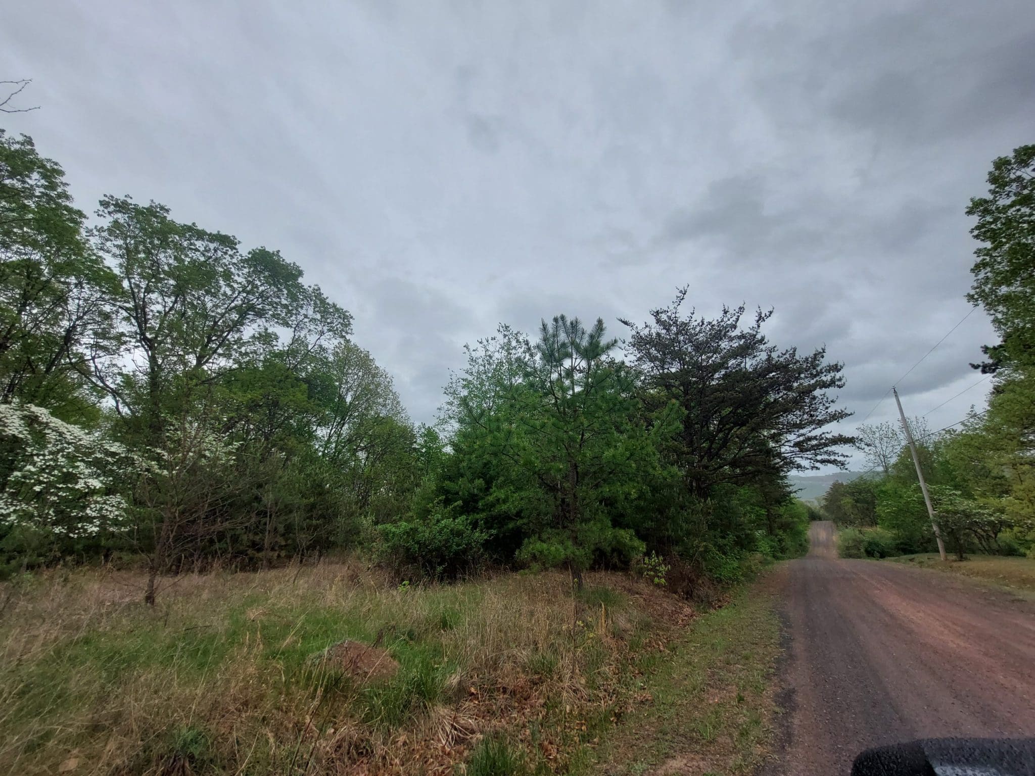 Affordable Mountain Land – Delray, WV