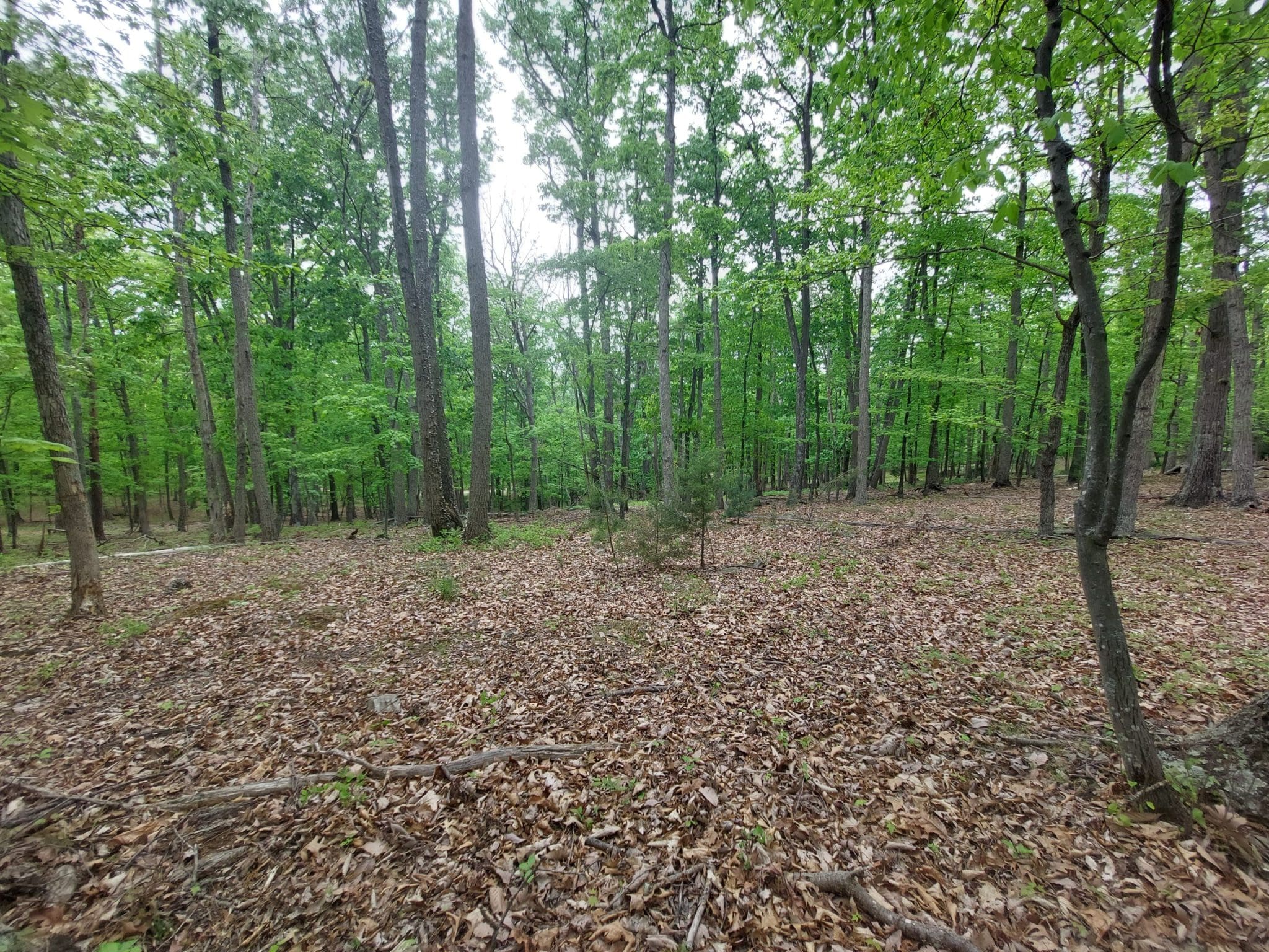 Rural Real Estate – 27 Janes Way, High View, WV