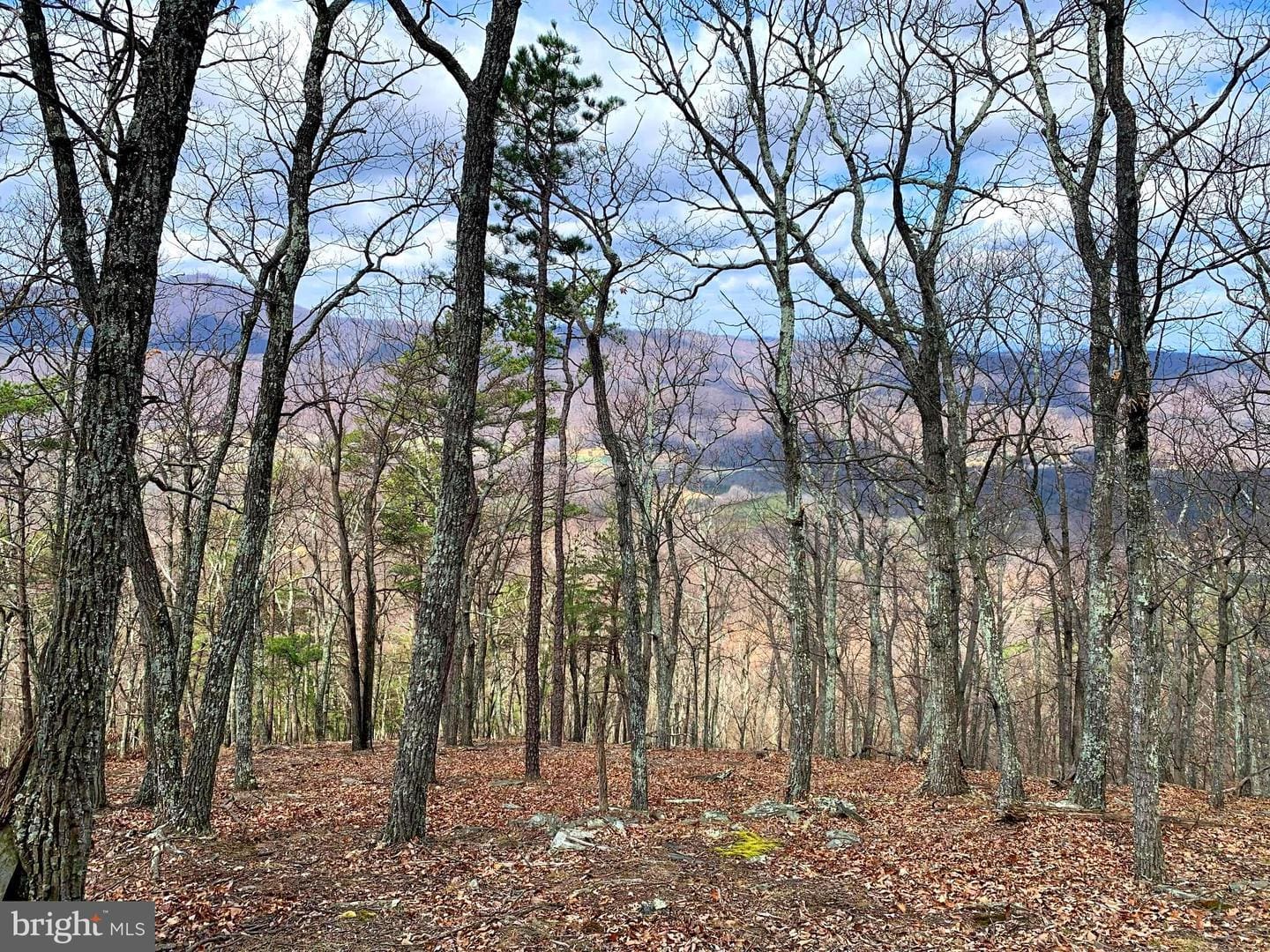 HAMPSHIRE RIDGE, ROMNEY, WV 26757