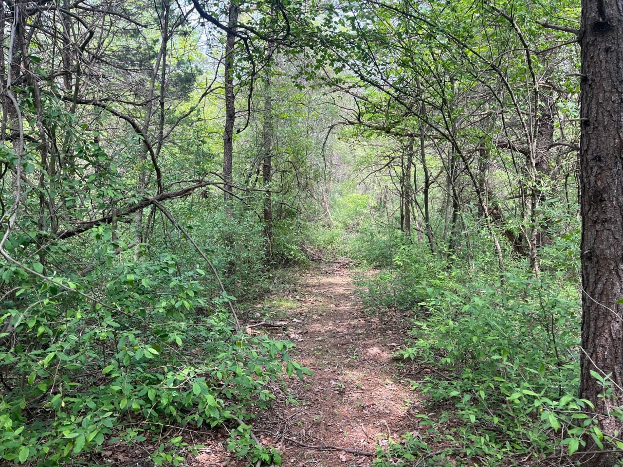 8 Acres – Mountaintop Land – Shale Hill Ln, Augusta, WV