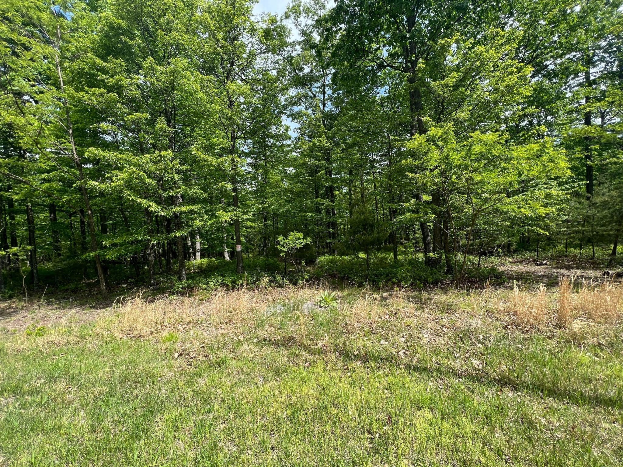 Lot 2 North River Road, Augusta, WV 26704