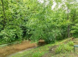 28800 NORTHWESTERN PIKE, ROMNEY, WV 26757