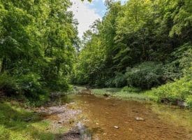 28800 NORTHWESTERN PIKE, ROMNEY, WV 26757