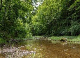 28800 NORTHWESTERN PIKE, ROMNEY, WV 26757