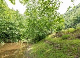 28800 NORTHWESTERN PIKE, ROMNEY, WV 26757