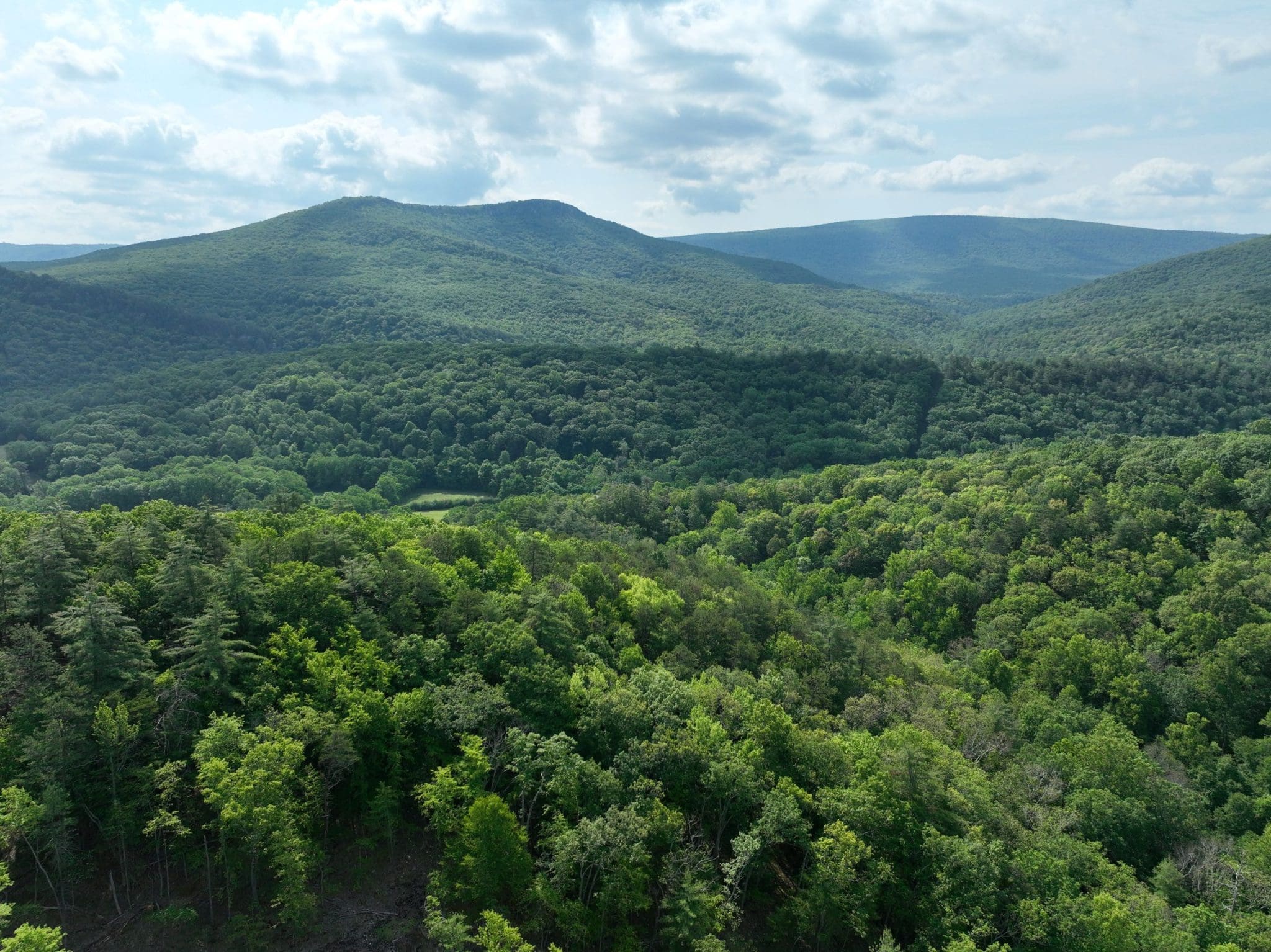 10075 Thorn Bottom Rd, Wardensville, WV 26851