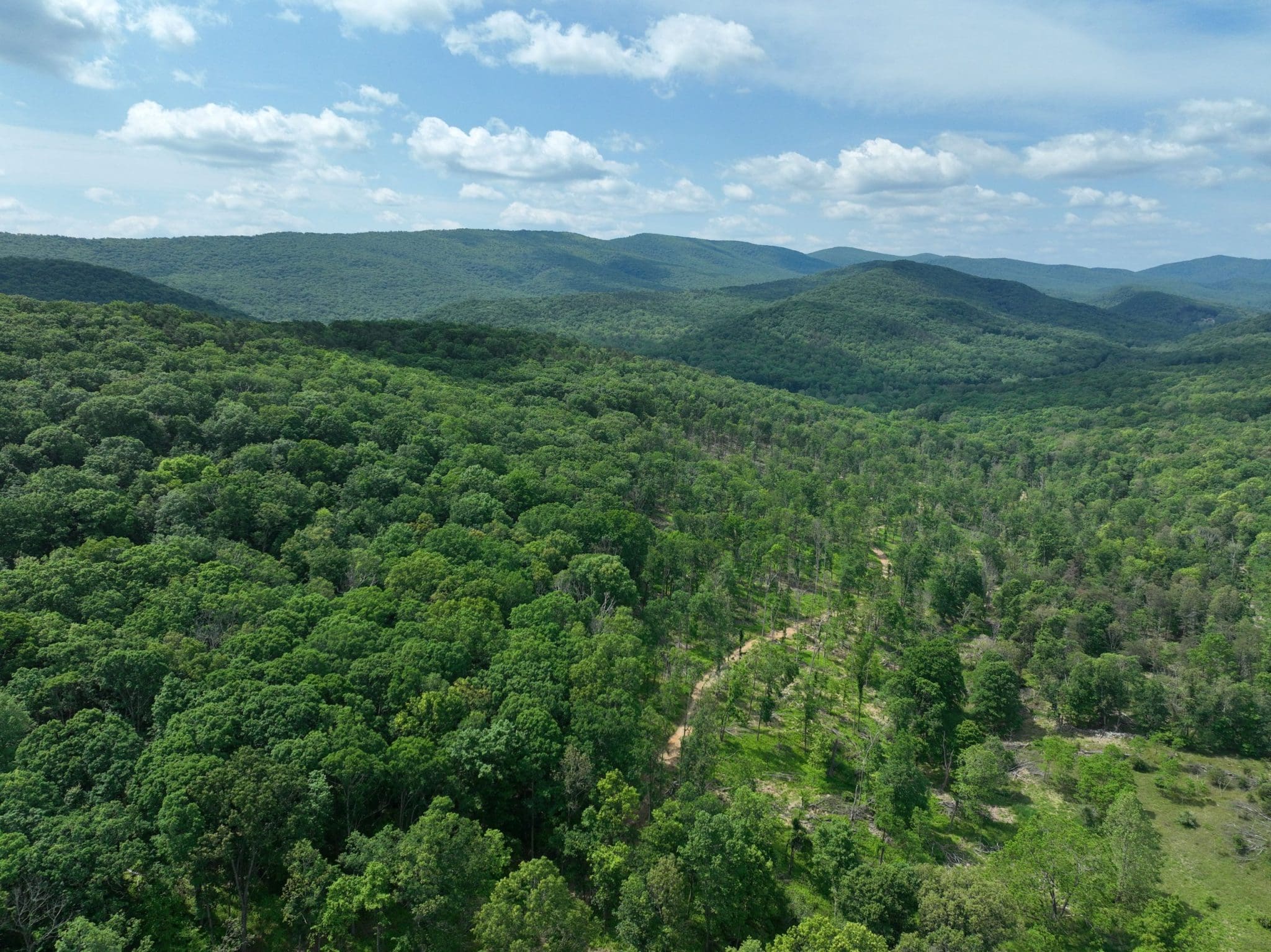 76.90 AC Off Thorn Bottom, Wardensville, WV 26851