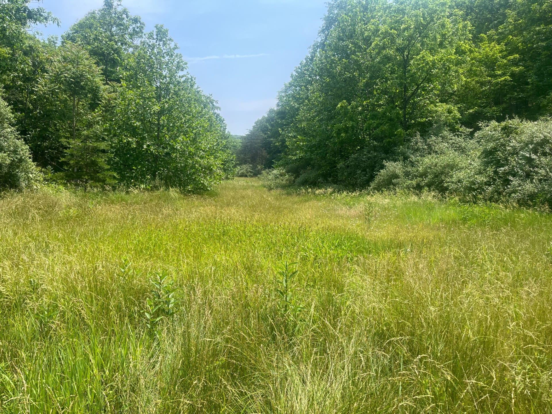 73.23 Acres Myers Lane, Fort Ashby, WV 26719