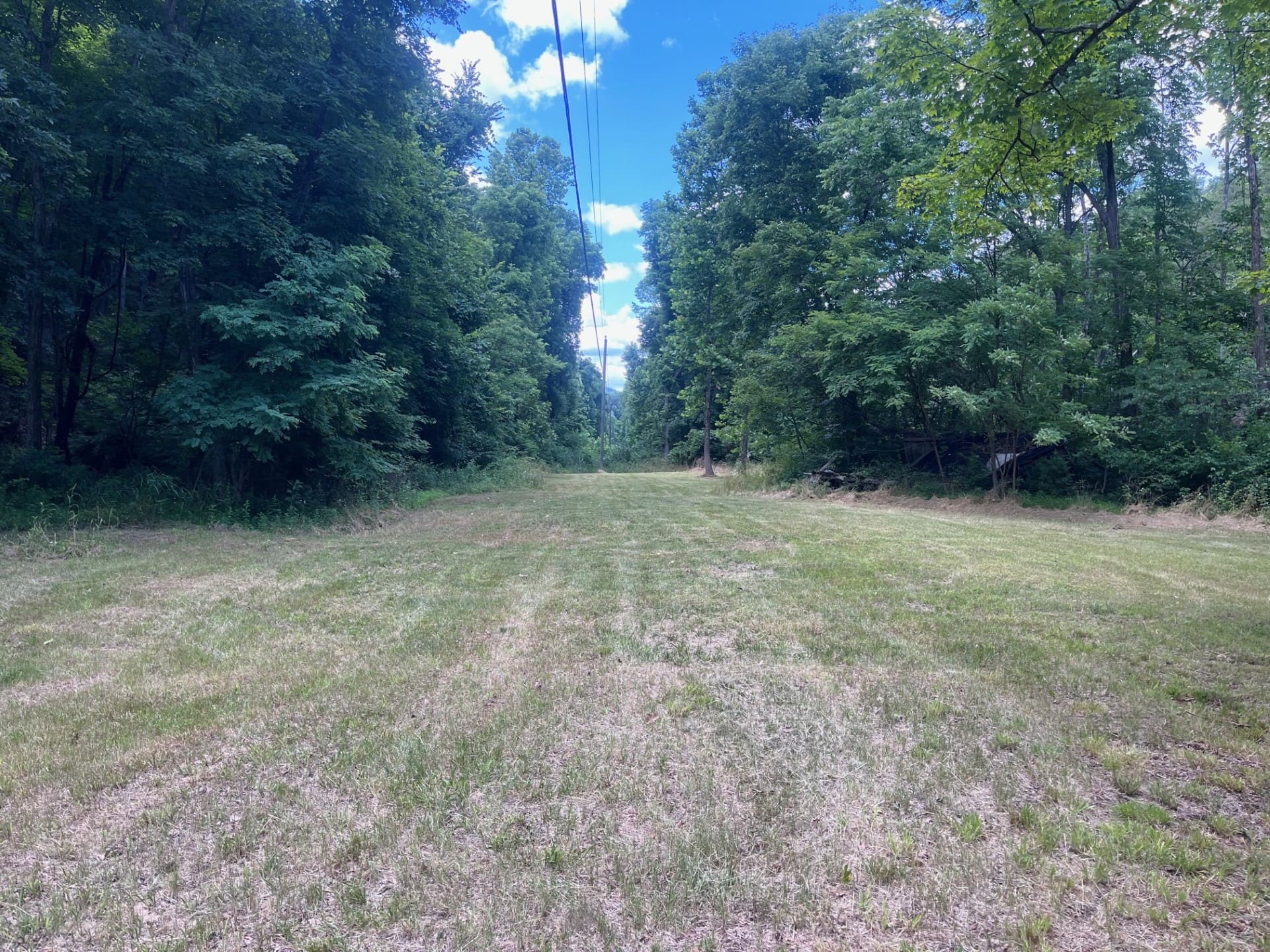 40.94 ACRES POWDER SPRINGS ROAD, MOOREFIELD, WV 26836
