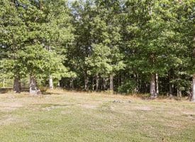 607 Dennis Parks Road, Augusta, WV 26704