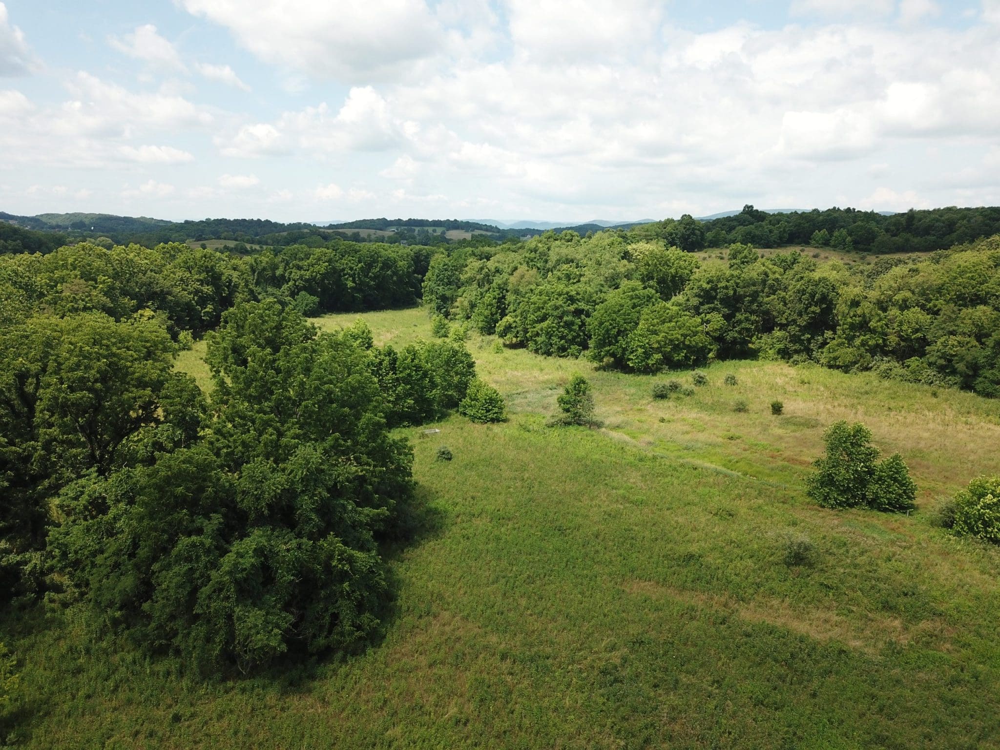 276.63 AC Ac Foreback Road, Keyser, WV 26726
