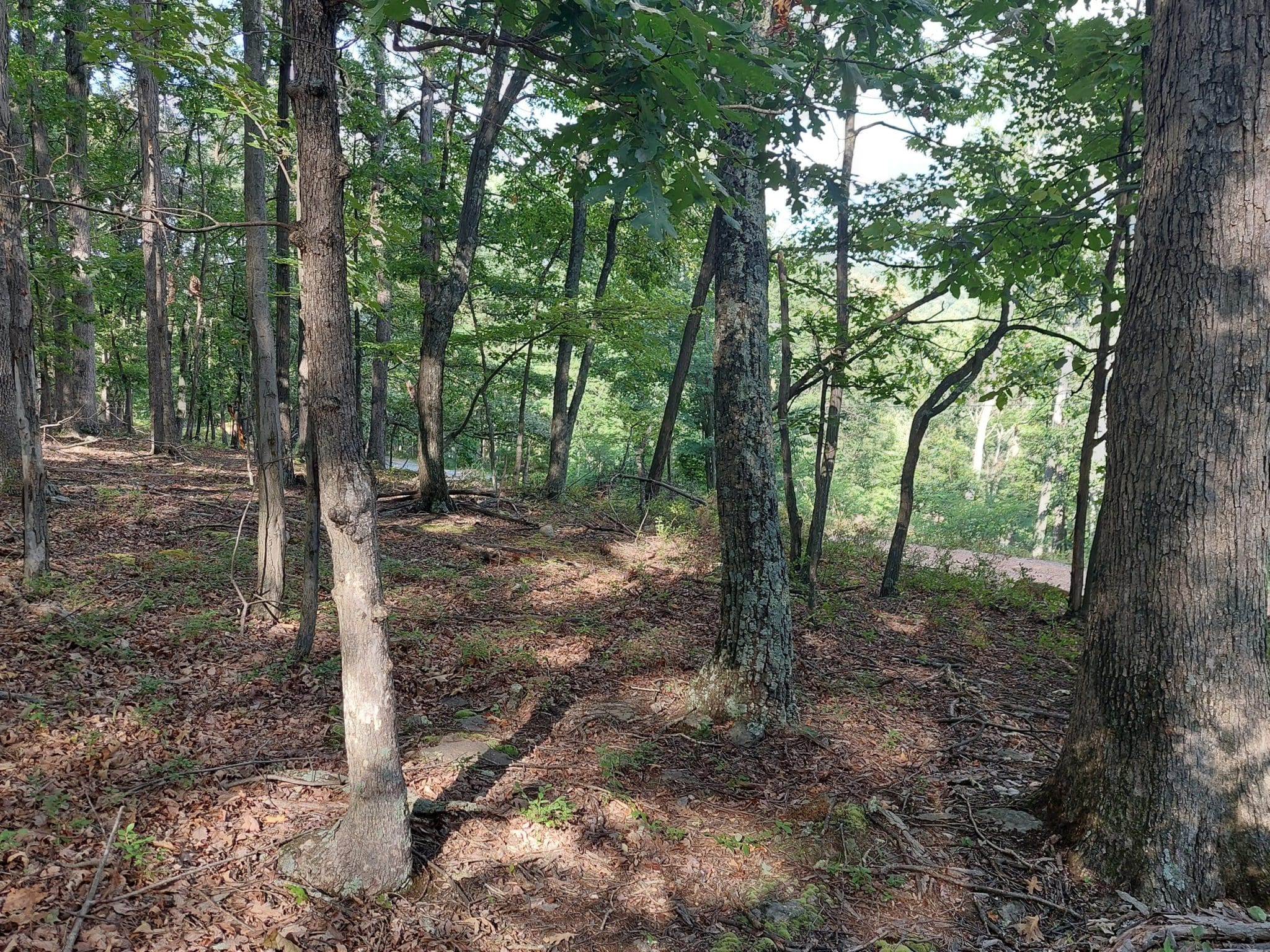 Lots 6 & 7 Pioneer Lane, Capon Bridge, WV