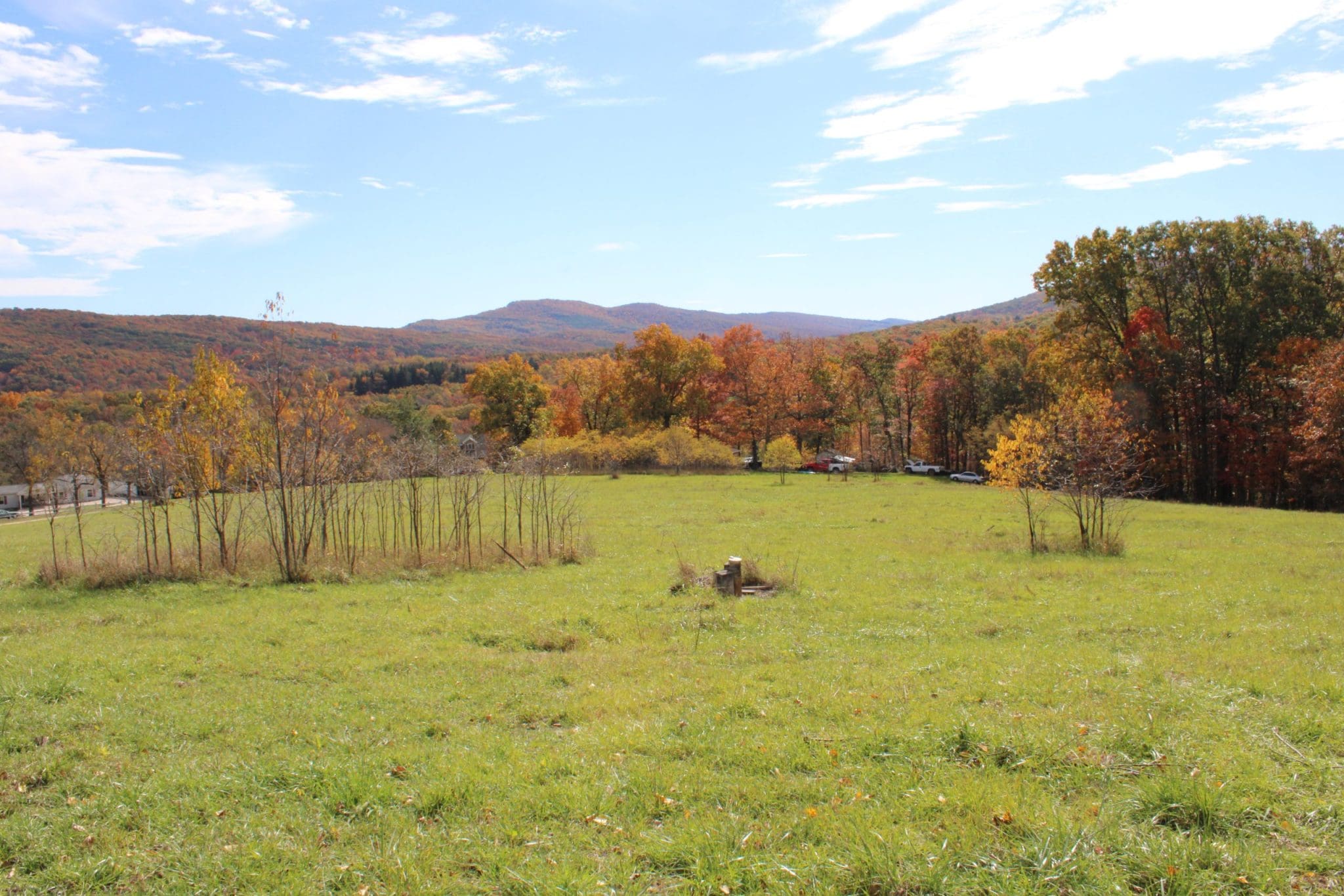 9.01 Acres Cherry Drive, Romney, WV 26757