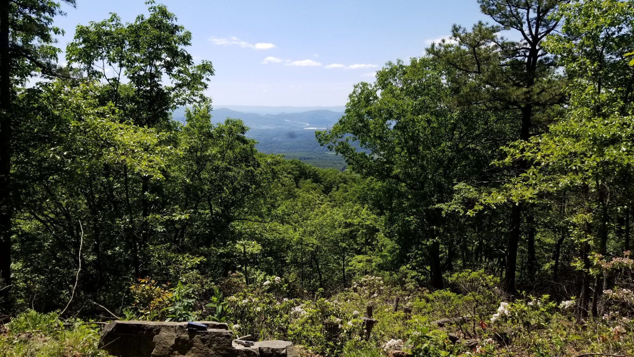 LOT 337 NATHANIEL MT ROAD, MOOREFIELD, WV 26836
