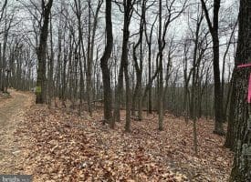 Lot 19 Sec 9 Secluded Ct, Paw Paw, WV 25434