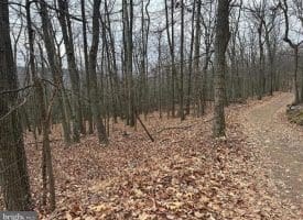 Lot 19 Sec 9 Secluded Ct, Paw Paw, WV 25434