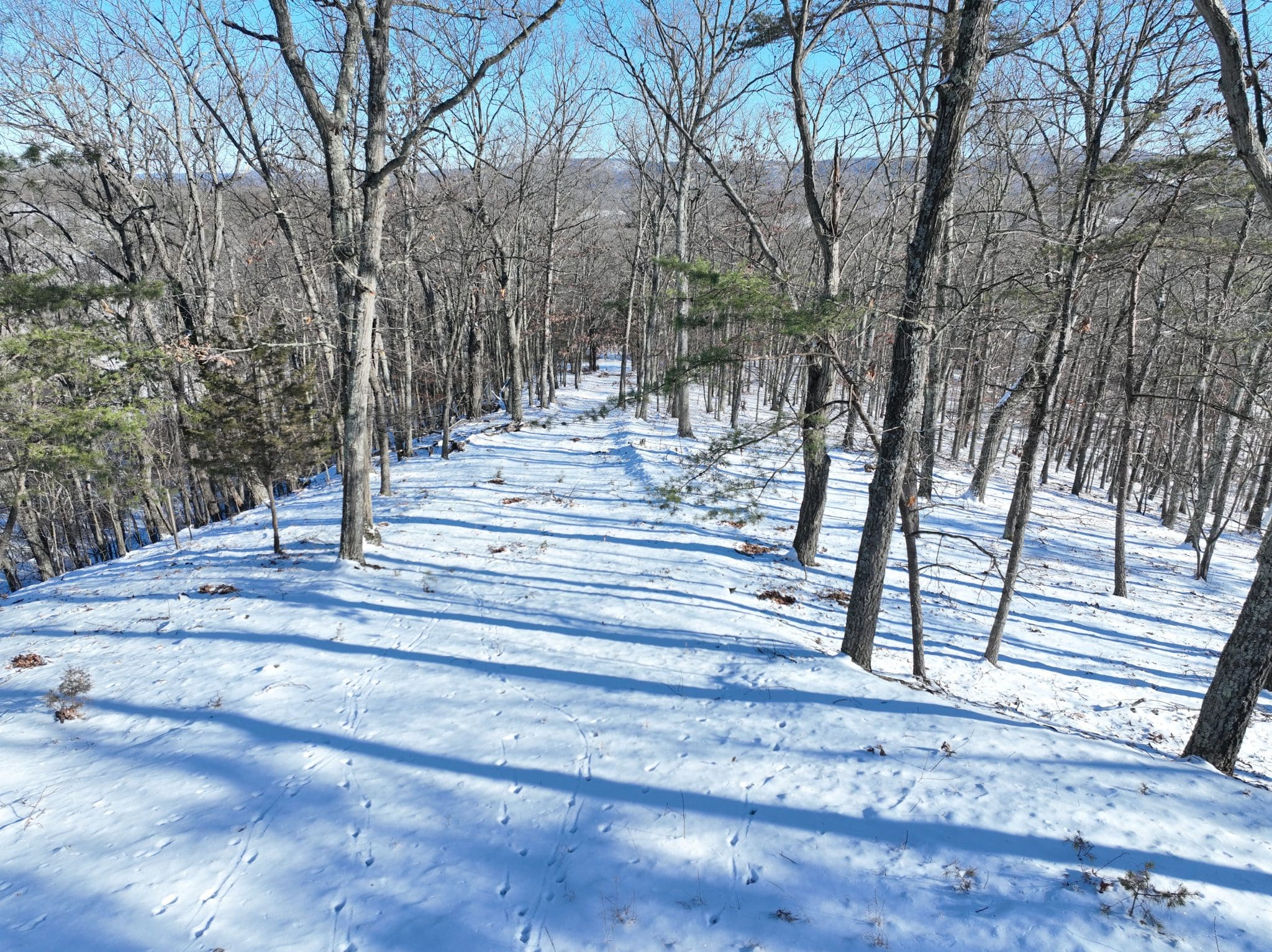 11.26 ACRES SHREVES ROAD, KEYSER, WV 26726
