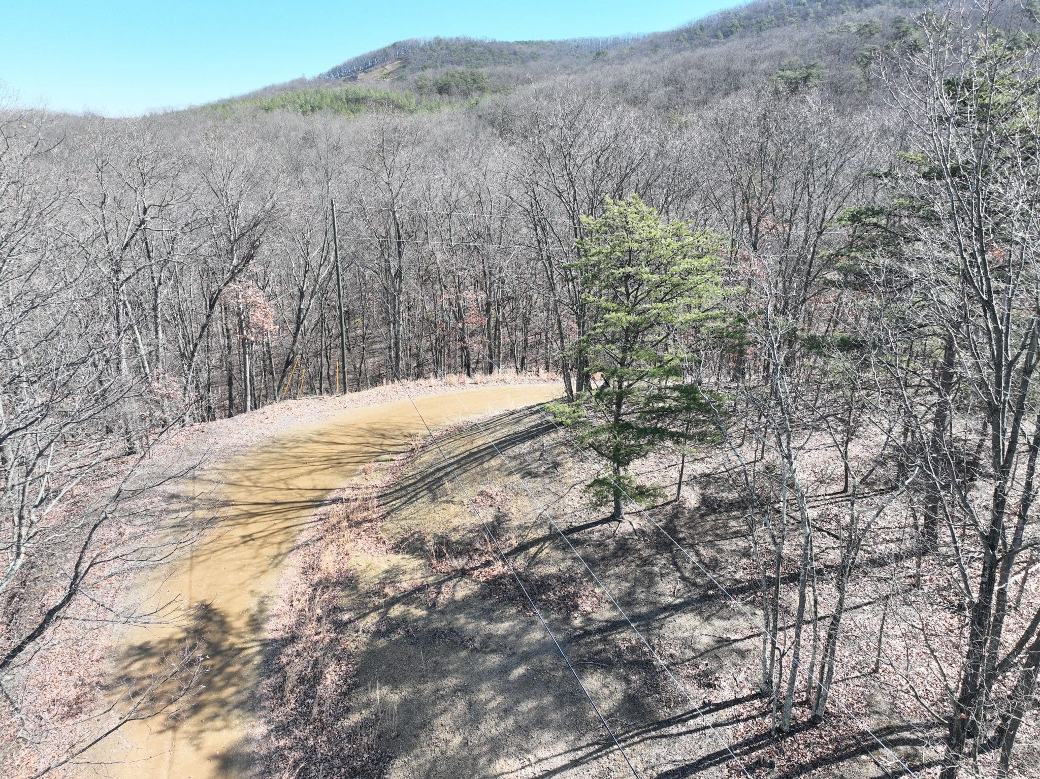 20 AC Caribou Drive, Points, WV 25437