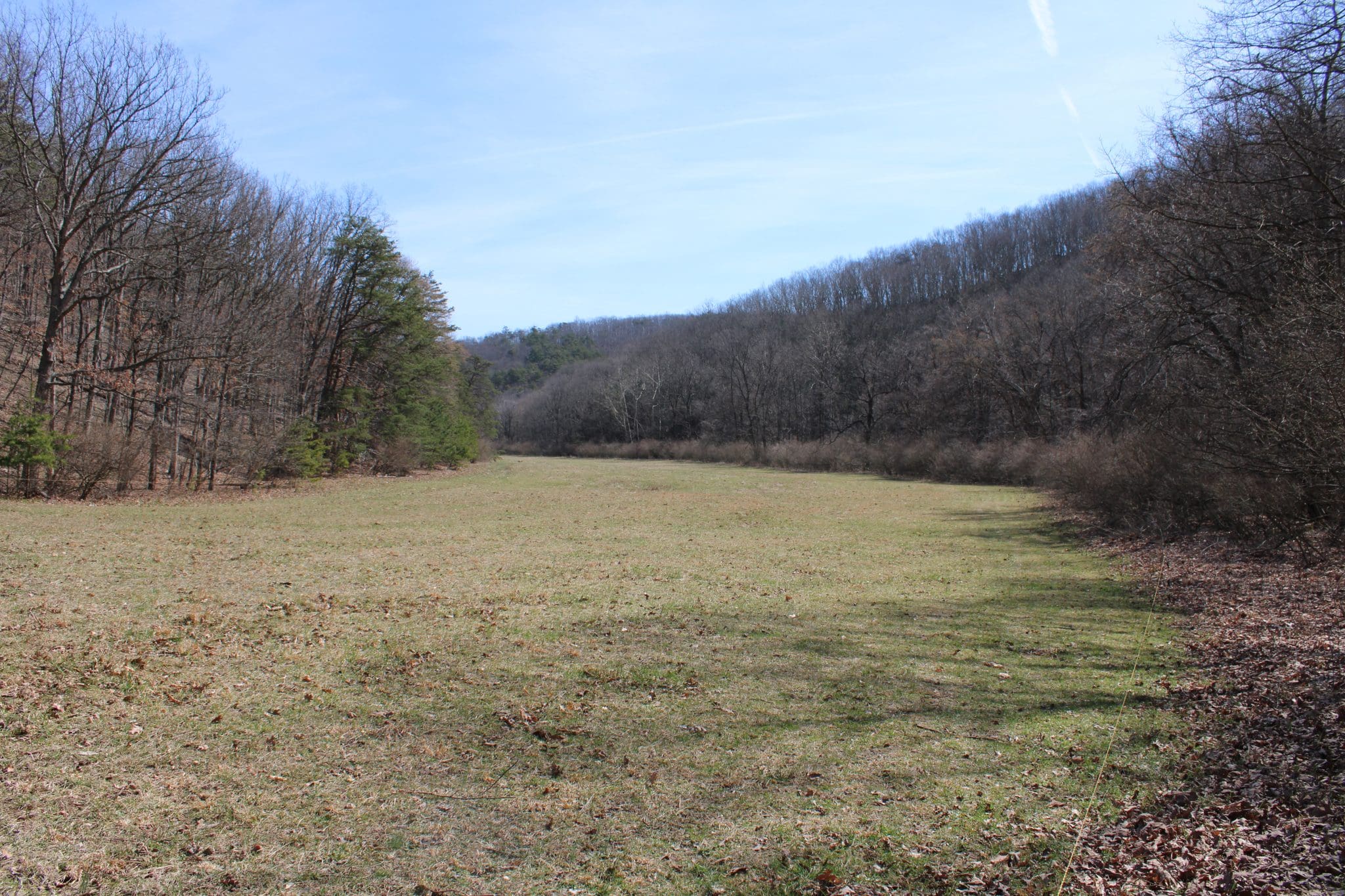 215 AC Double Cribbs Road, Burlington, WV 26710