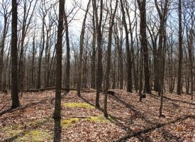 6.11 AC Sideling Mountain Trail, Great Cacapon, WV 25422