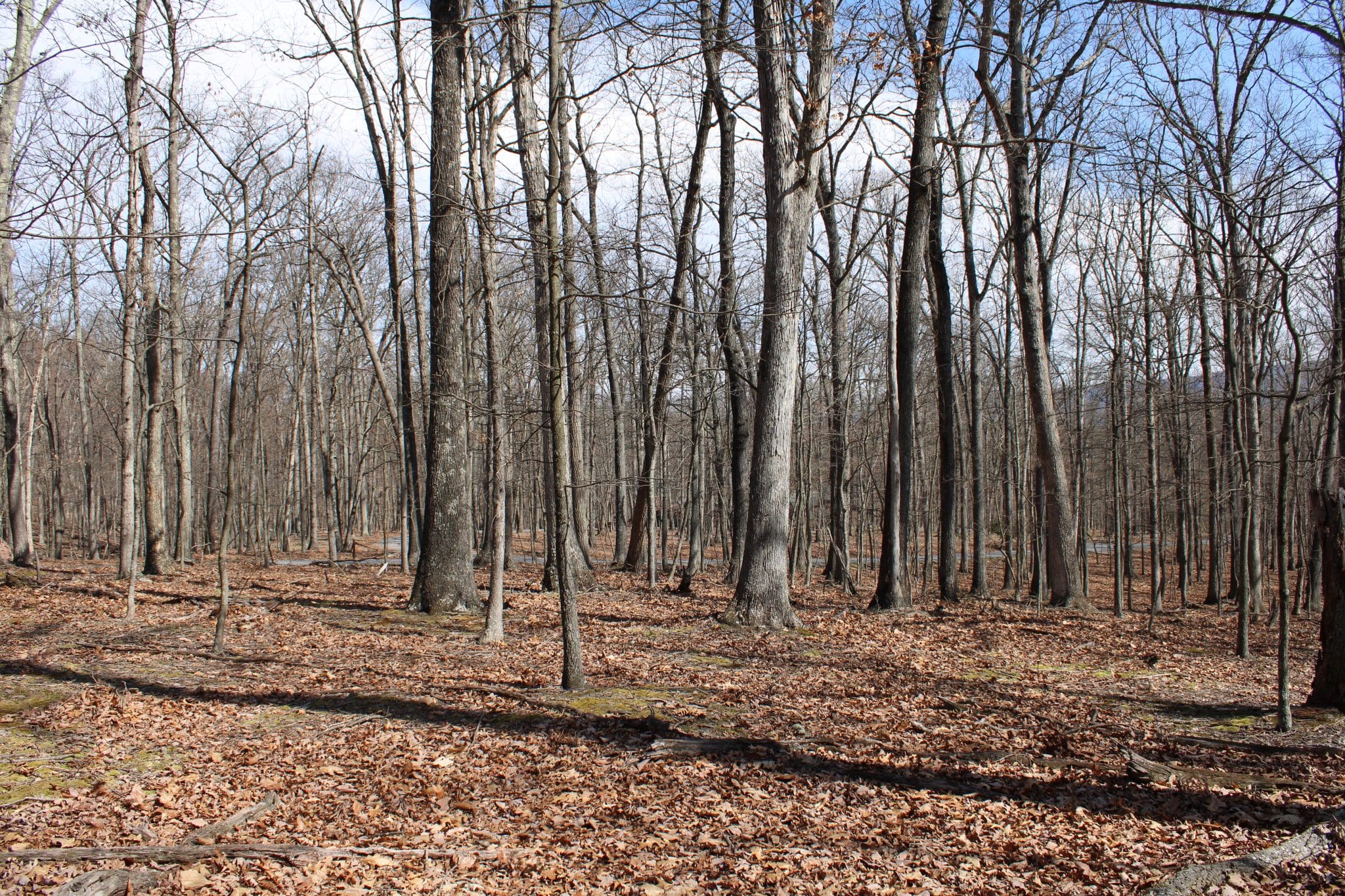 6.11 AC Sideling Mountain Trail, Great Cacapon, WV 25422
