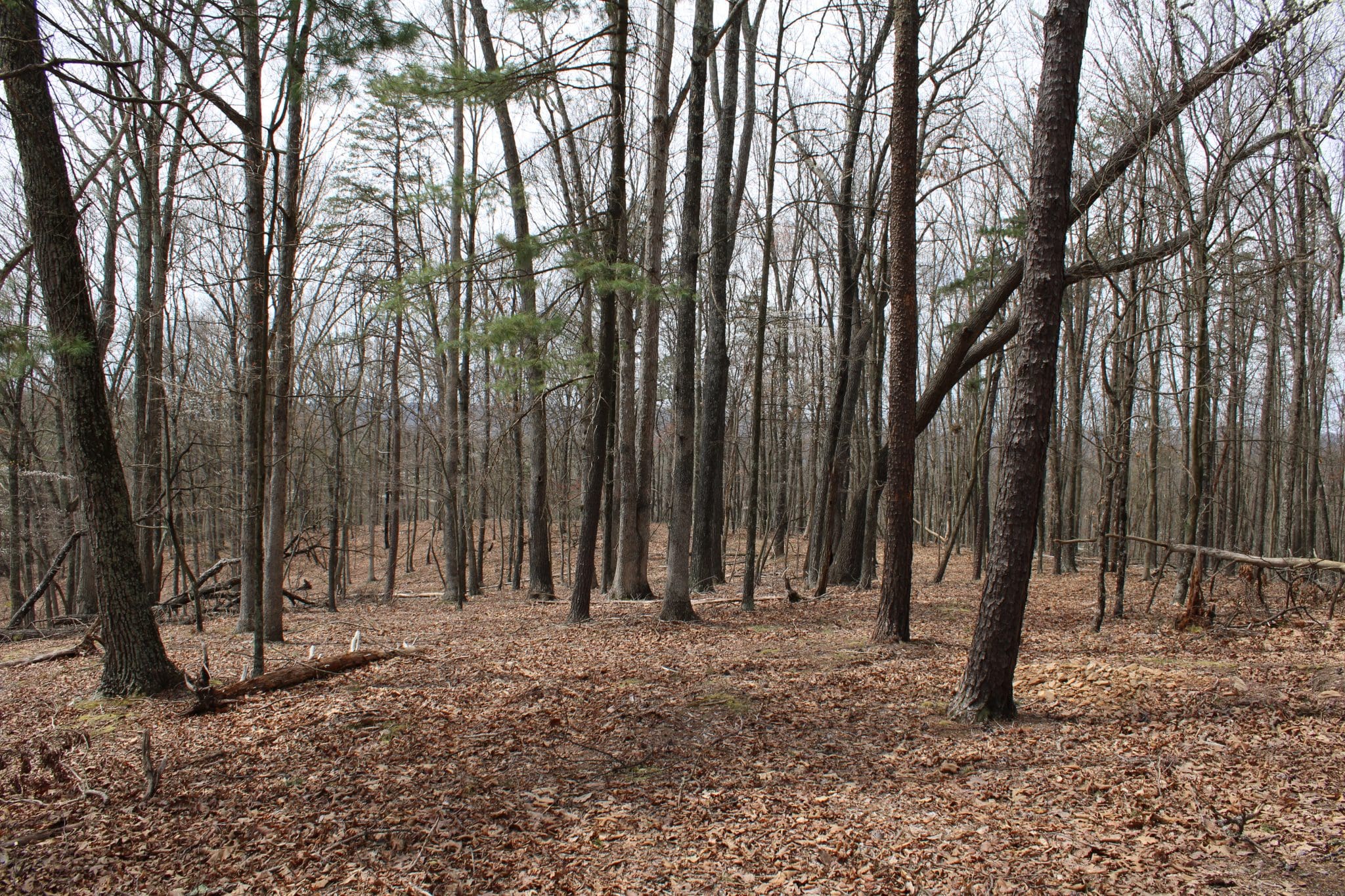 Lot 26 E Redstone Trail, Slanesville, WV