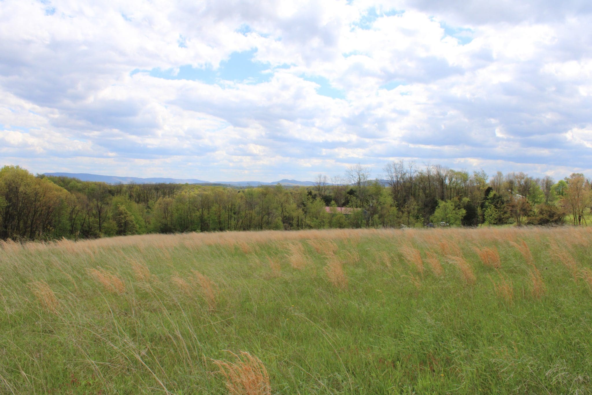 31.348 AC Saville Dr, Romney, WV 26757