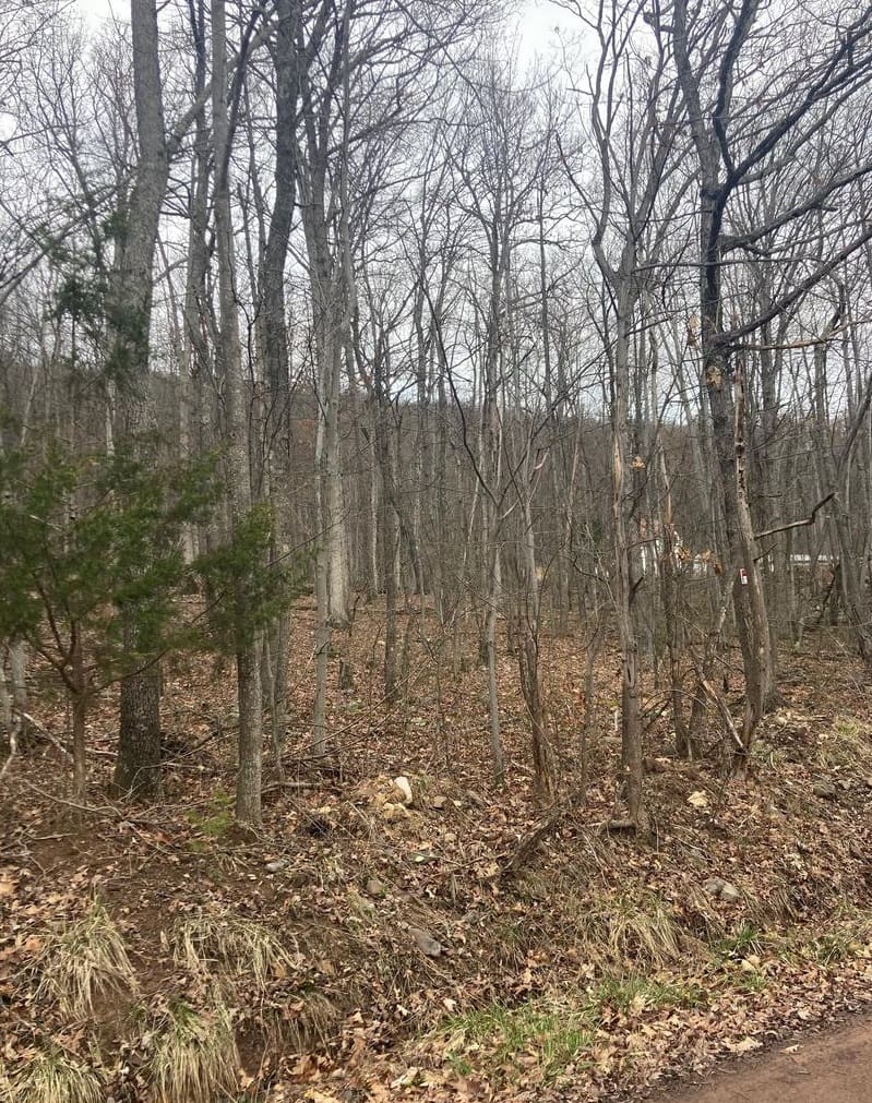 Lot 26 Falconwood Rd, Paw Paw, WV