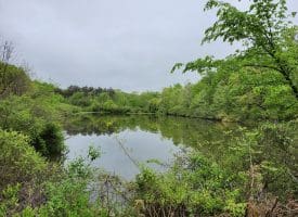 16.5 Acres – Lake Property – Mountain Heritage Esates