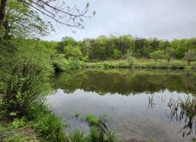 16.5 Acres – Lake Property – Mountain Heritage Esates