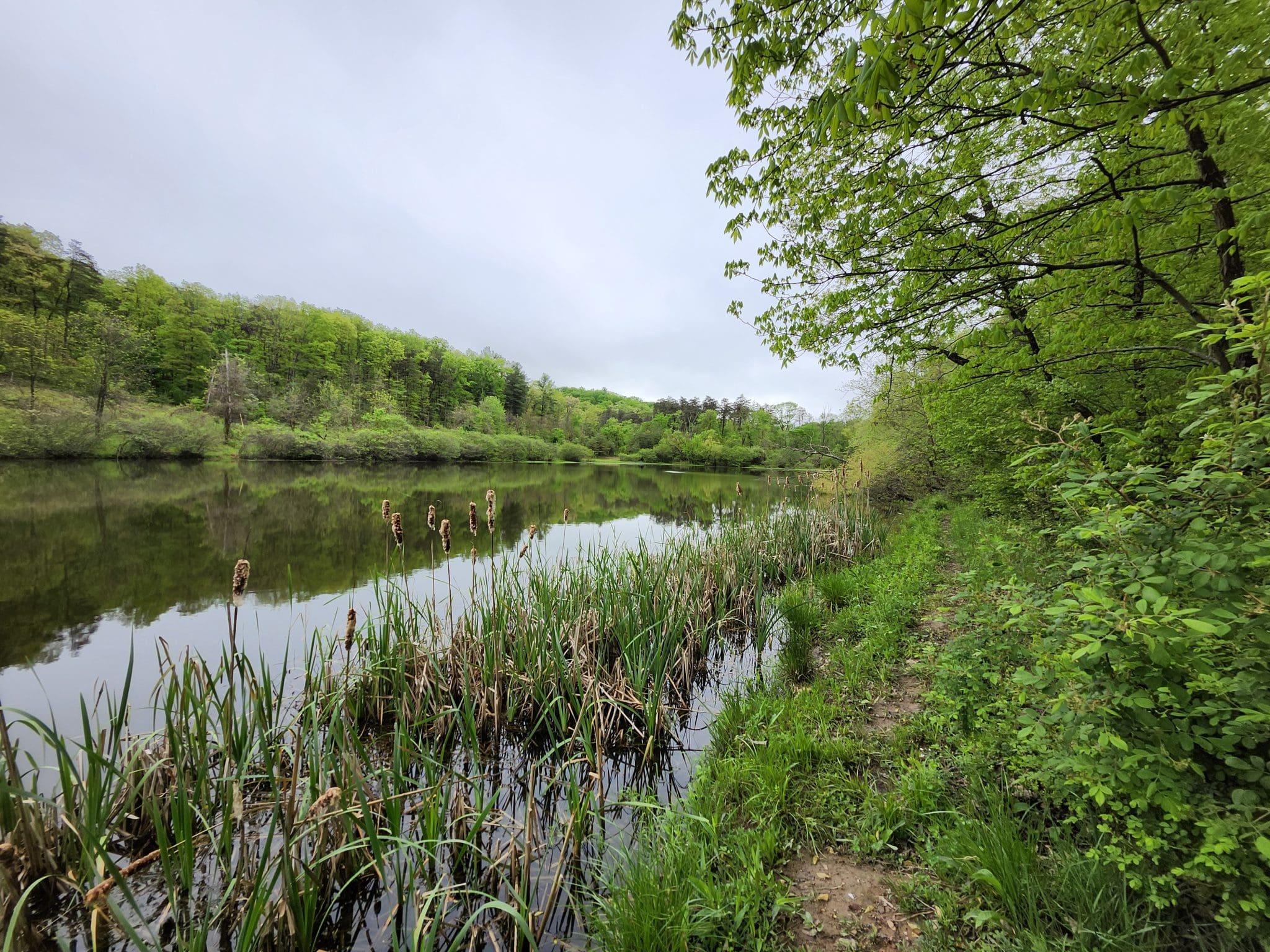 16.5 Acres – Lake Property – Mountain Heritage Esates