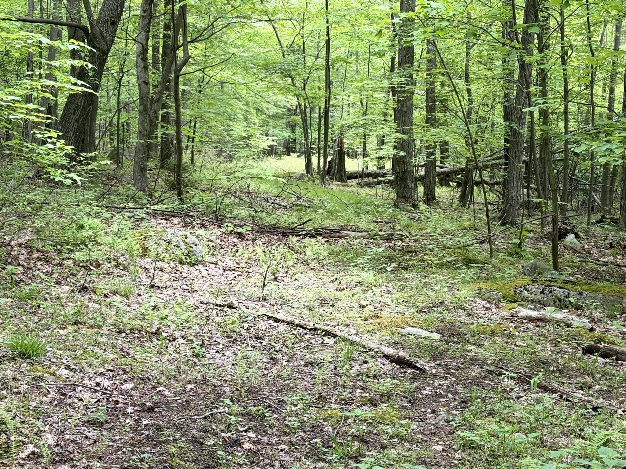 Lot 4 Wilderness Drive, Maysville, WV 26833