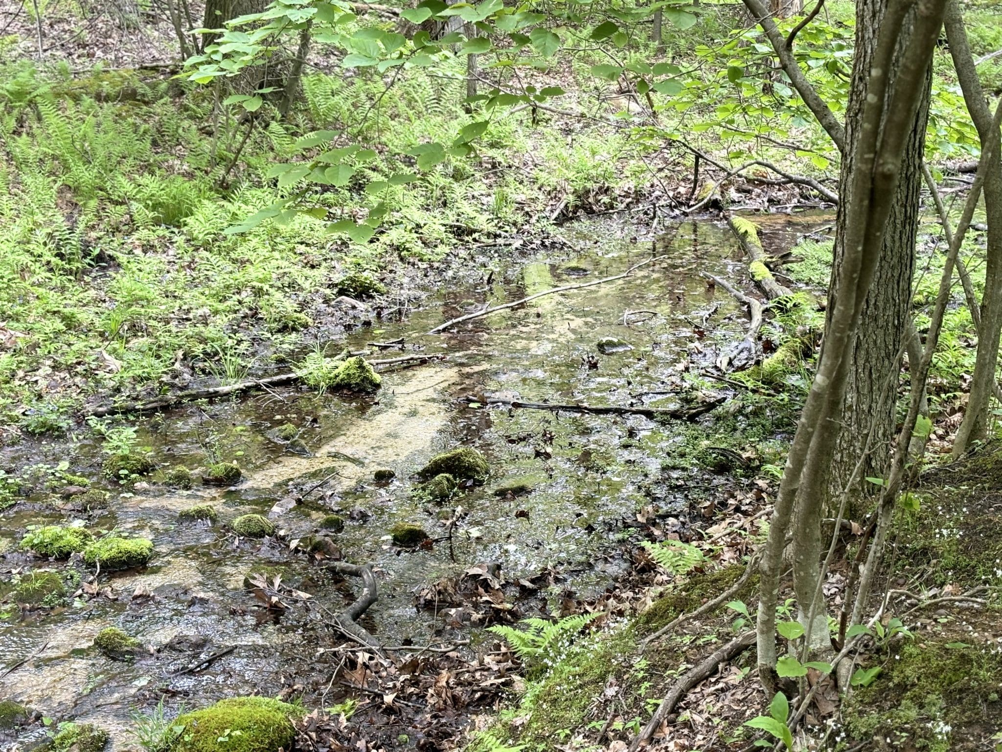 Lot 3 Wilderness Drive, Maysville, WV 26833