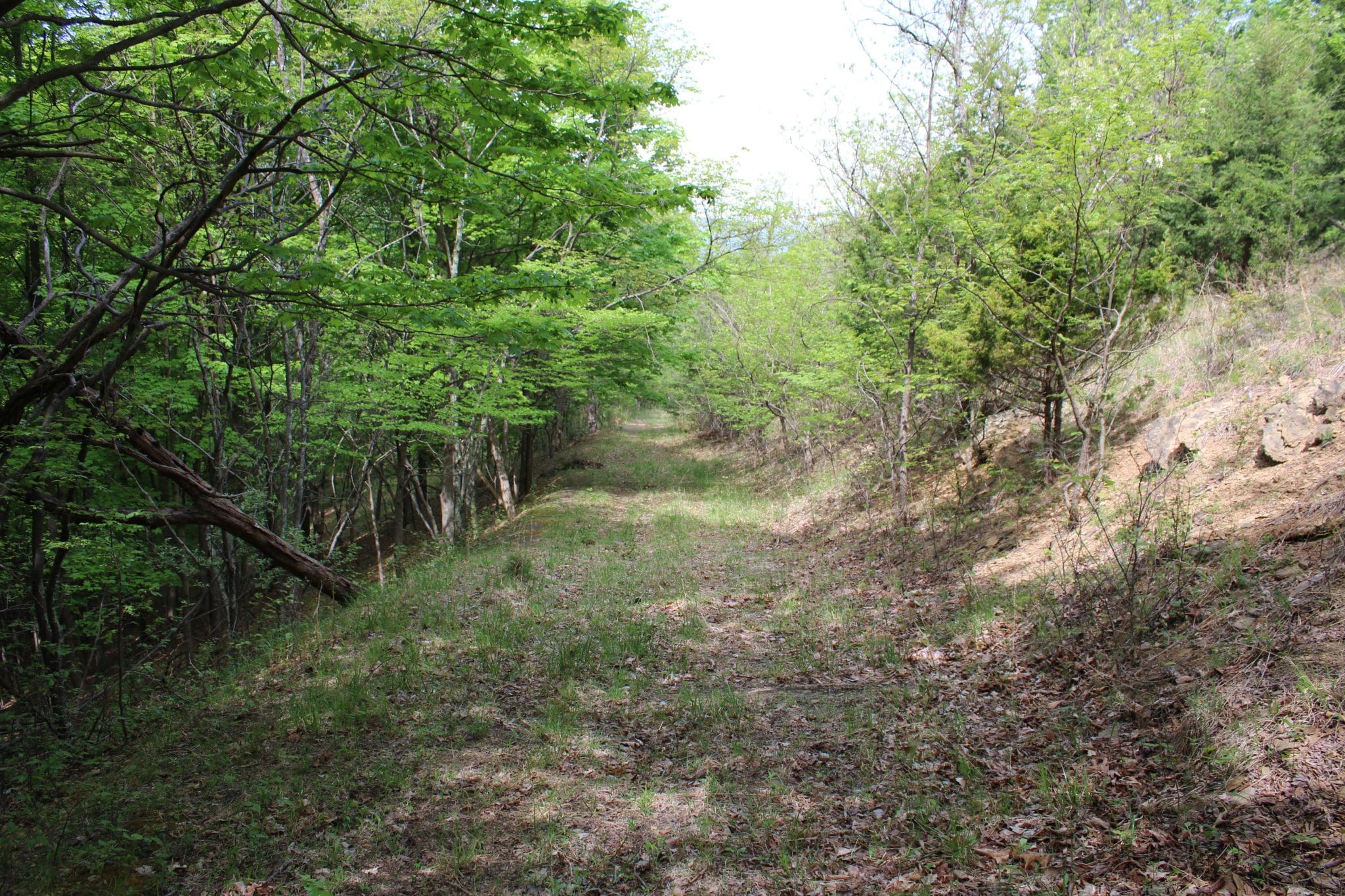 10.17 Proctor Rd, Purgitsville, WV 26845