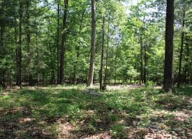 Lot 8 King Court, Springfield, WV 26763