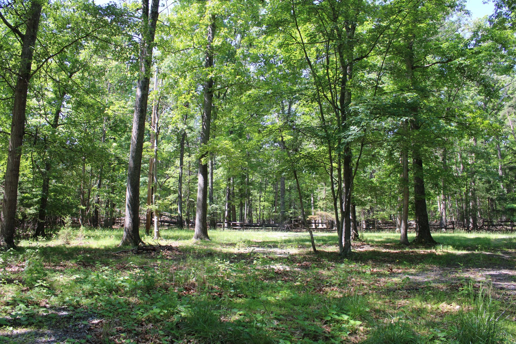 Lot 8 King Court, Springfield, WV 26763