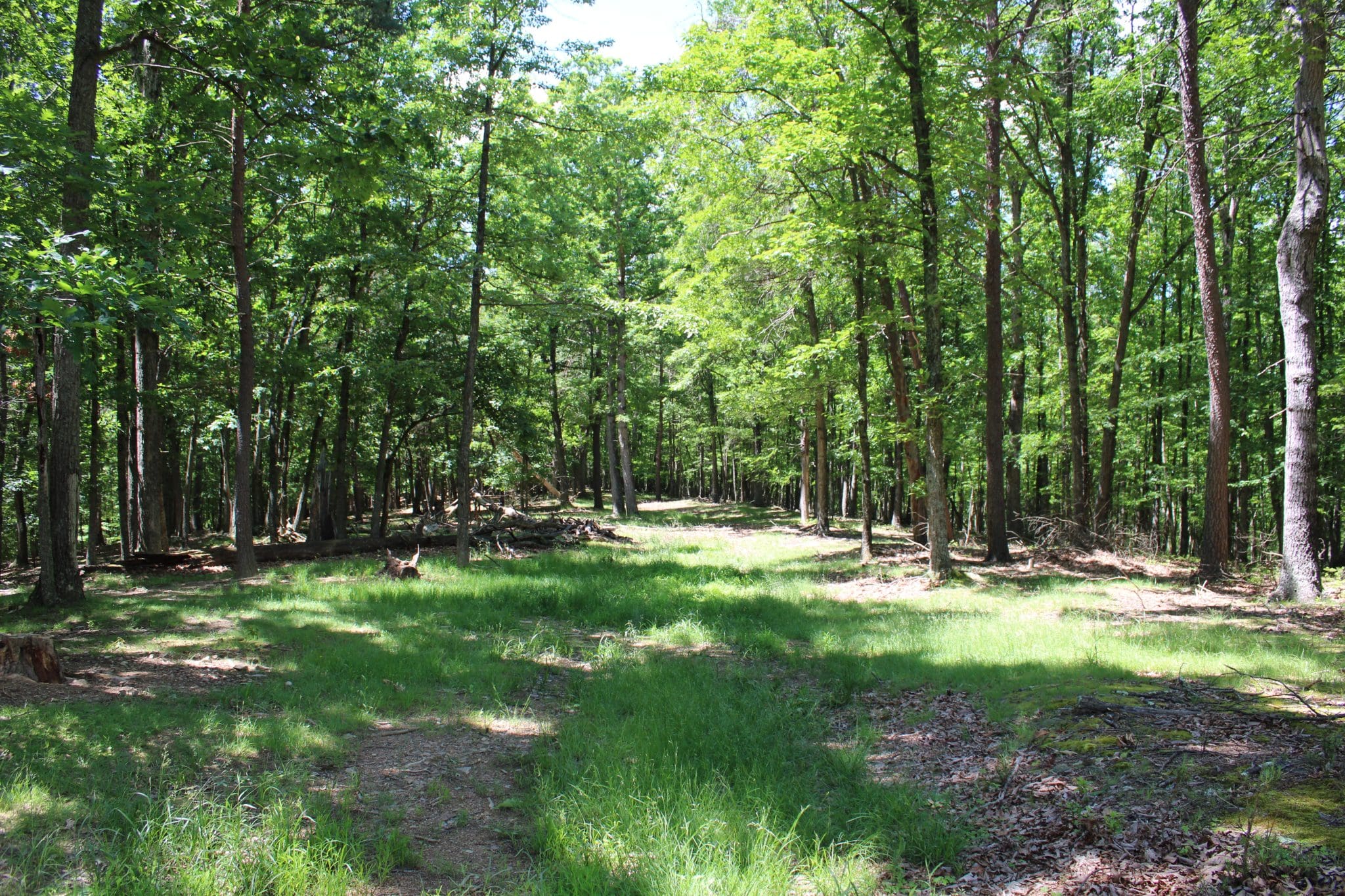 50 AC NEEDMORE ROAD, BAKER, WV 26801