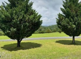 26 Crossings View Rd, Paw Paw, WV 25434