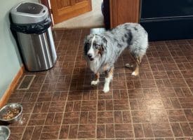 26 Crossings View Rd, Paw Paw, WV 25434