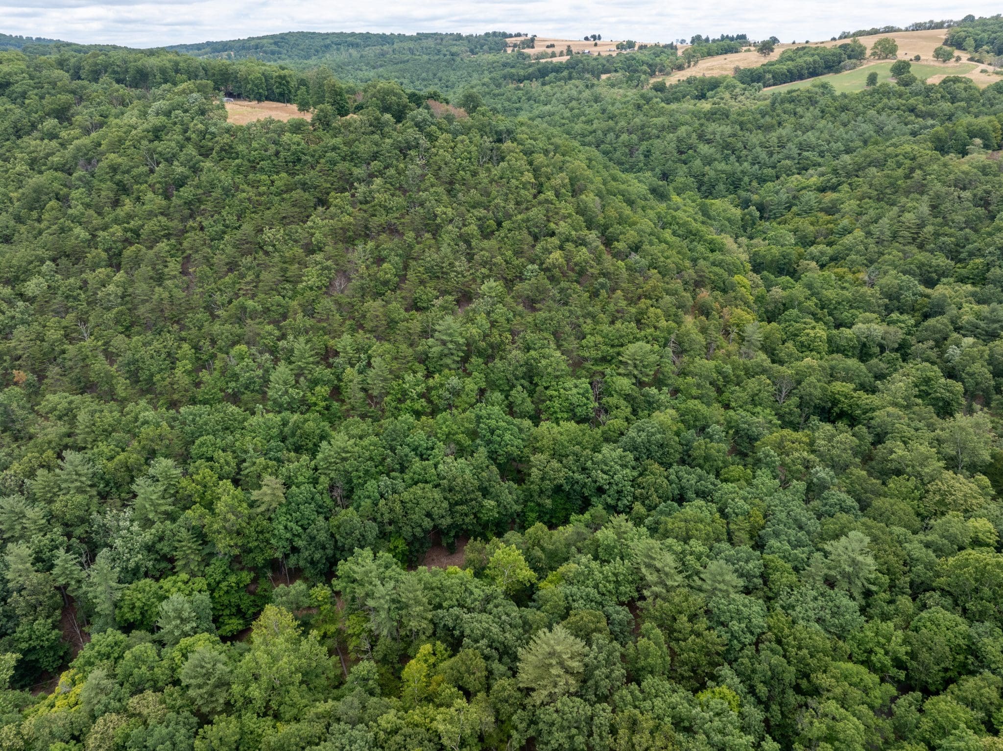 6.6 ACRES – BUFFALO HOLLOW RD, ROMNEY WV