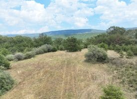 10 AC Sea Biscuit Dr, Levels, WV 25431