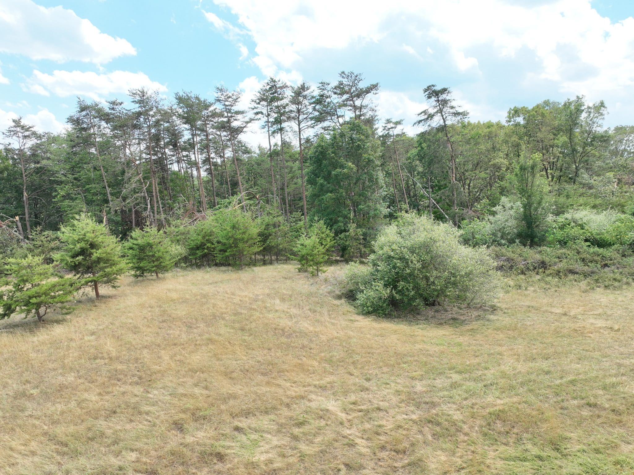 10 AC Sea Biscuit Dr, Levels, WV 25431