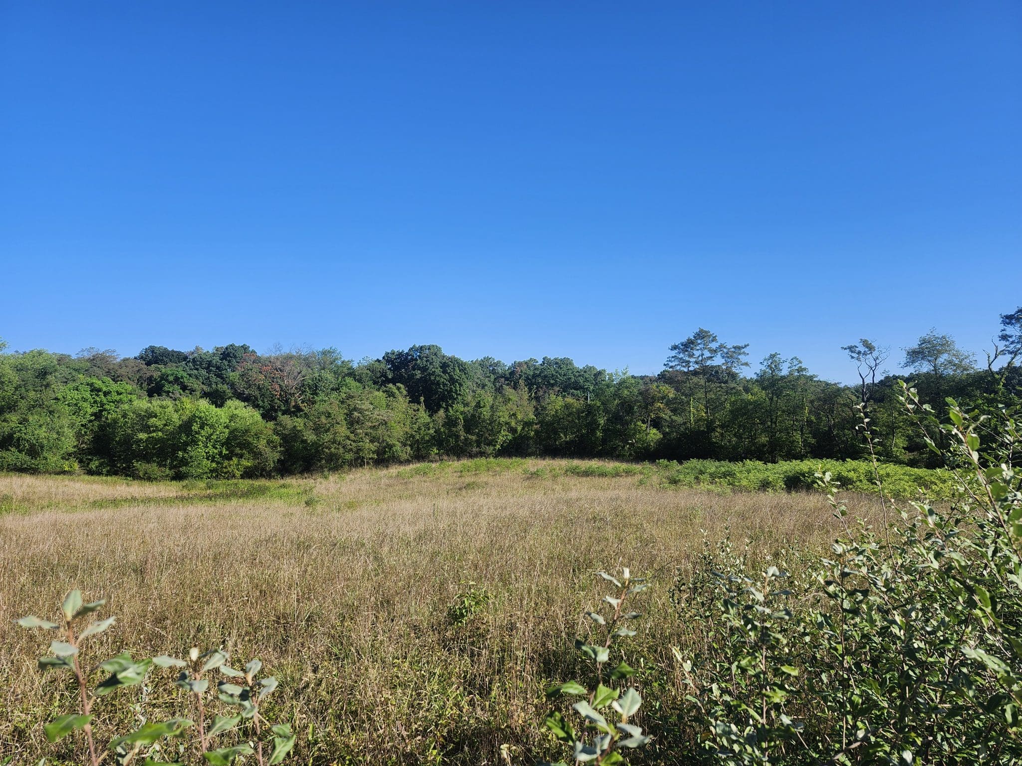 Lot 49 Glow Haven Rd, Romney, WV 26757