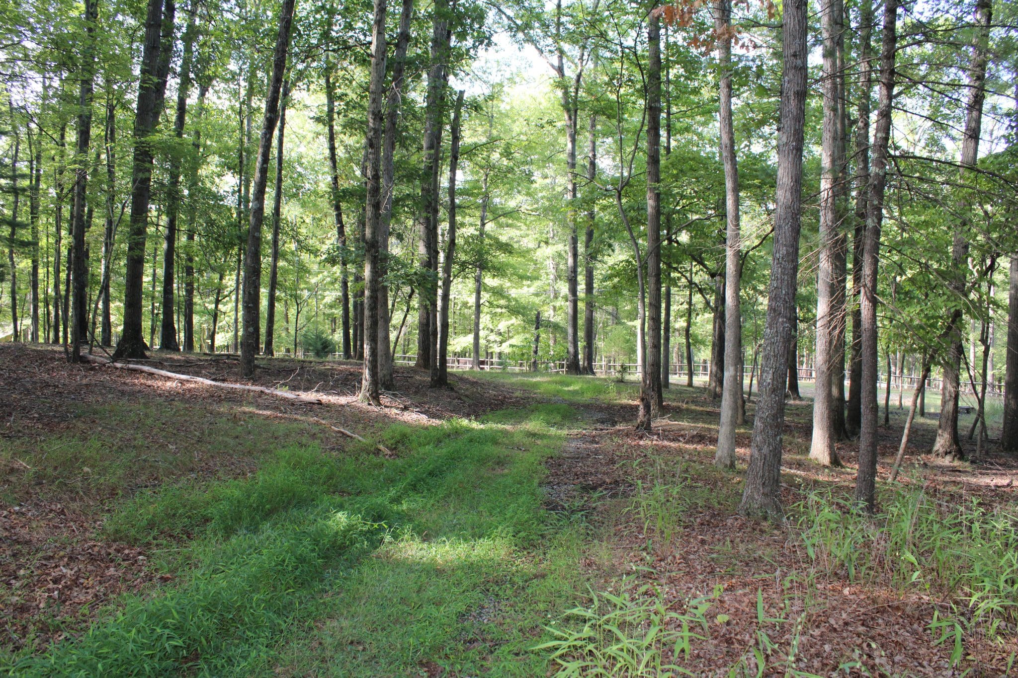 Lot 135 River Bend Drive, Paw Paw, WV 25434