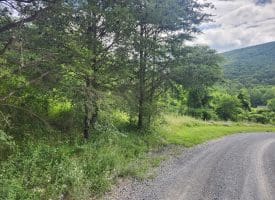 5 ACRES – LOT 18 SUGAR RUN LN, ROMNEY, WV